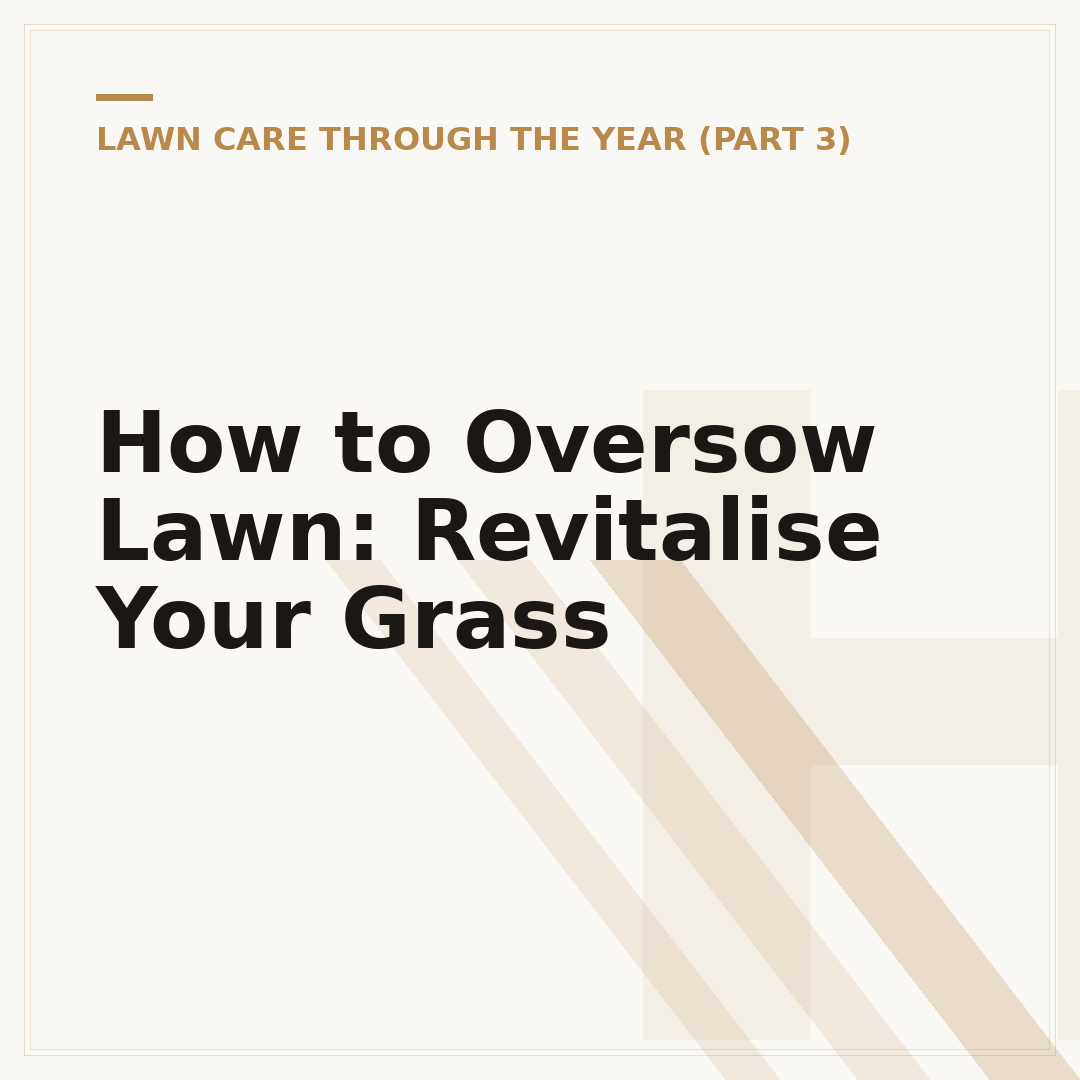 How to Oversow Lawn: Revitalise Your Grass