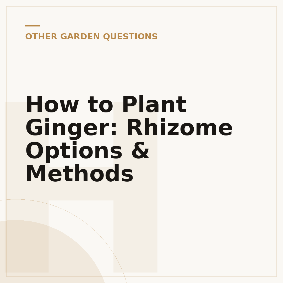 How to Plant Ginger: Rhizome Options & Methods