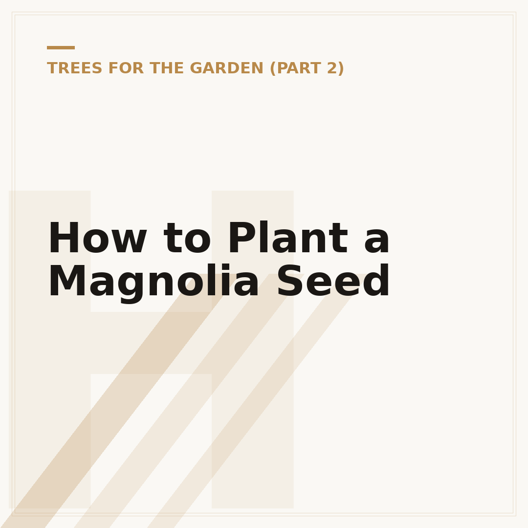 How to Plant a Magnolia Seed