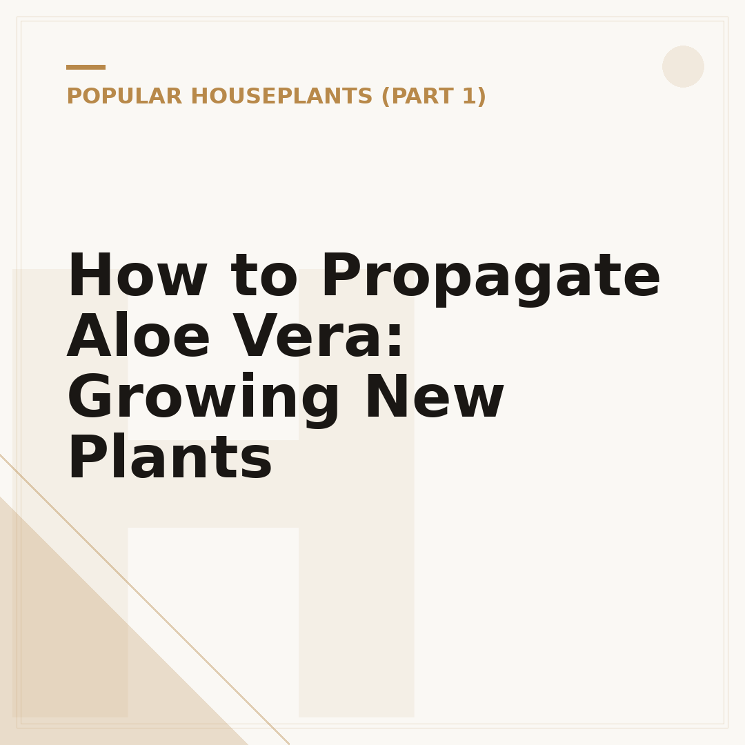 How to Propagate Aloe Vera: Growing New Plants