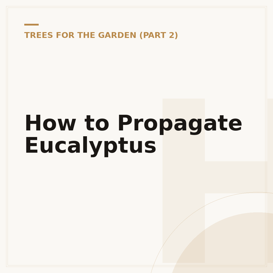How to Propagate Eucalyptus