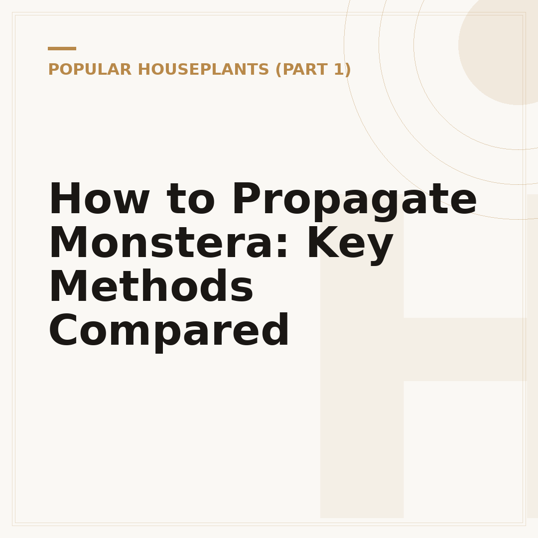 How to Propagate Monstera: Key Methods Compared