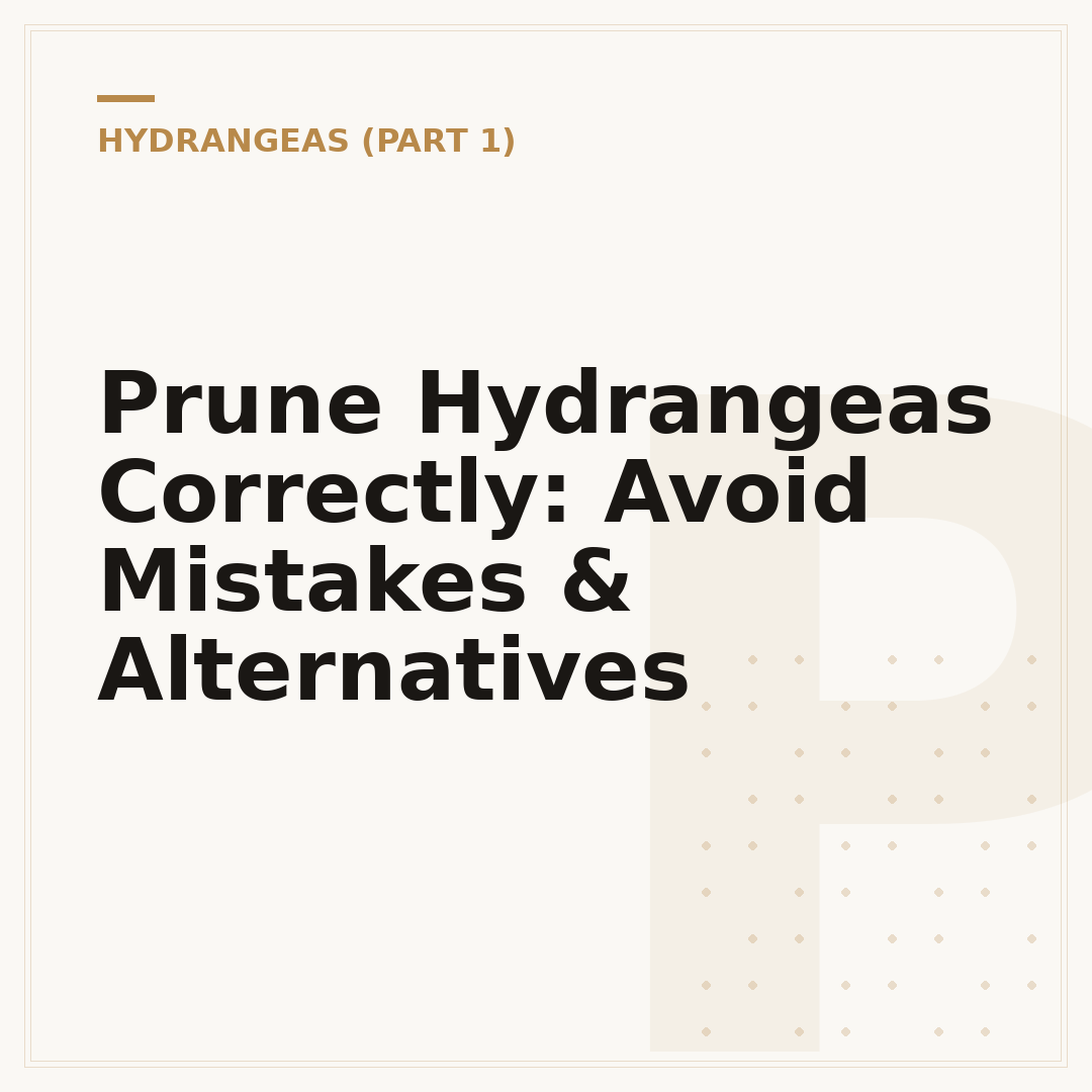 Prune Hydrangeas Correctly: Avoid Mistakes & Alternatives