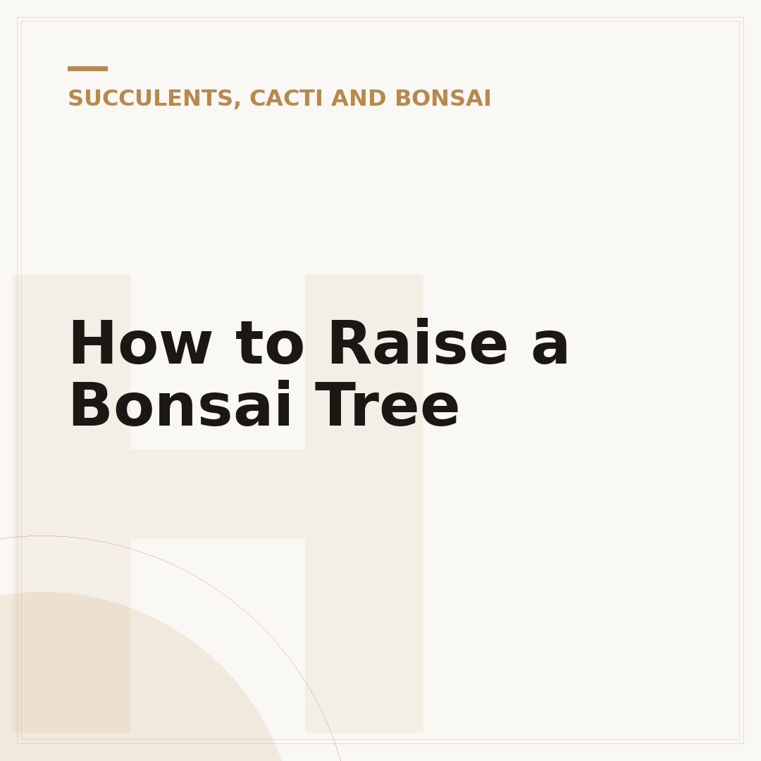 How to Raise a Bonsai Tree