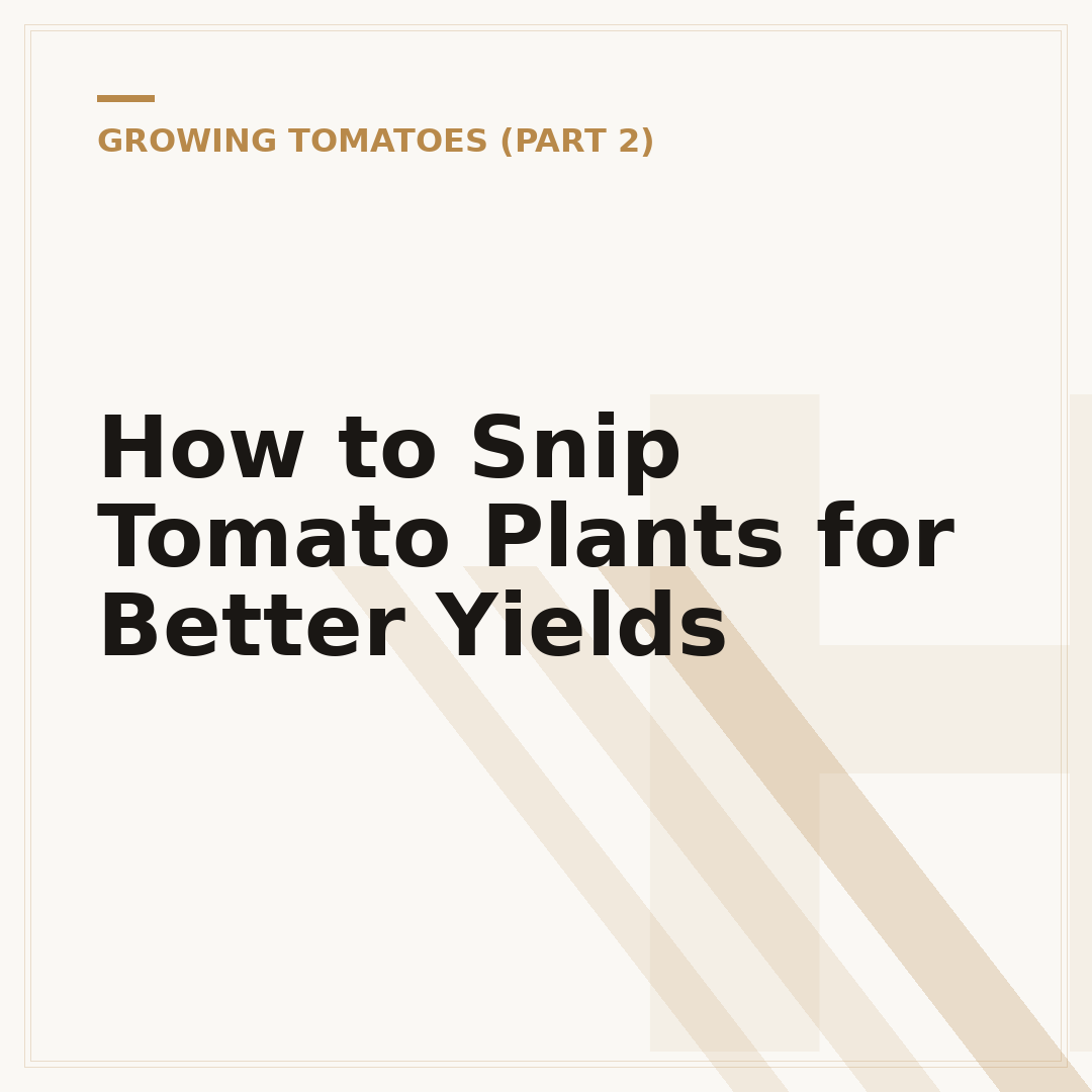 How to Snip Tomato Plants for Better Yields