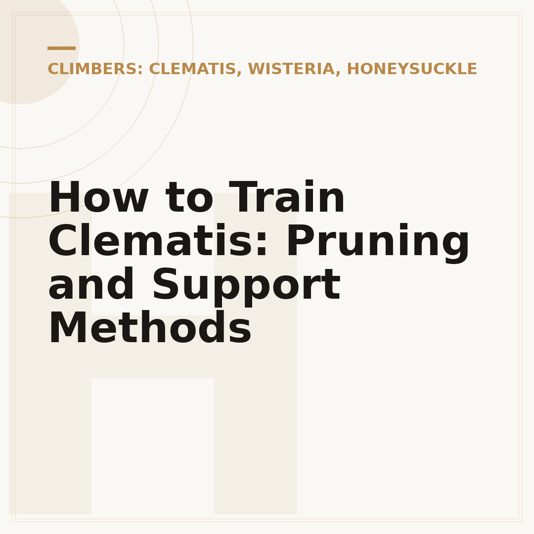 How to Train Clematis: Pruning and Support Methods