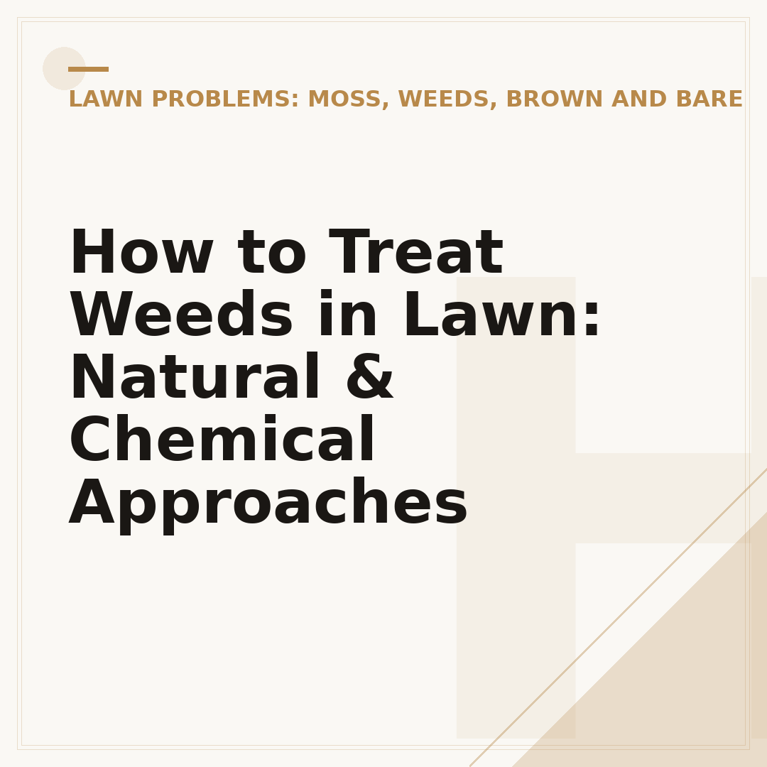 How to Treat Weeds in Lawn: Natural & Chemical Approaches