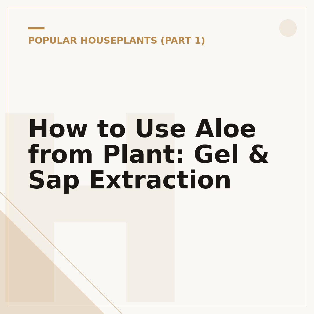 How to Use Aloe from Plant: Gel & Sap Extraction