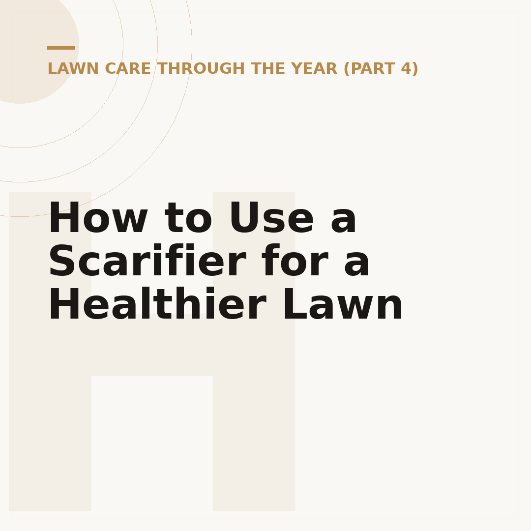 How to Use a Scarifier for a Healthier Lawn