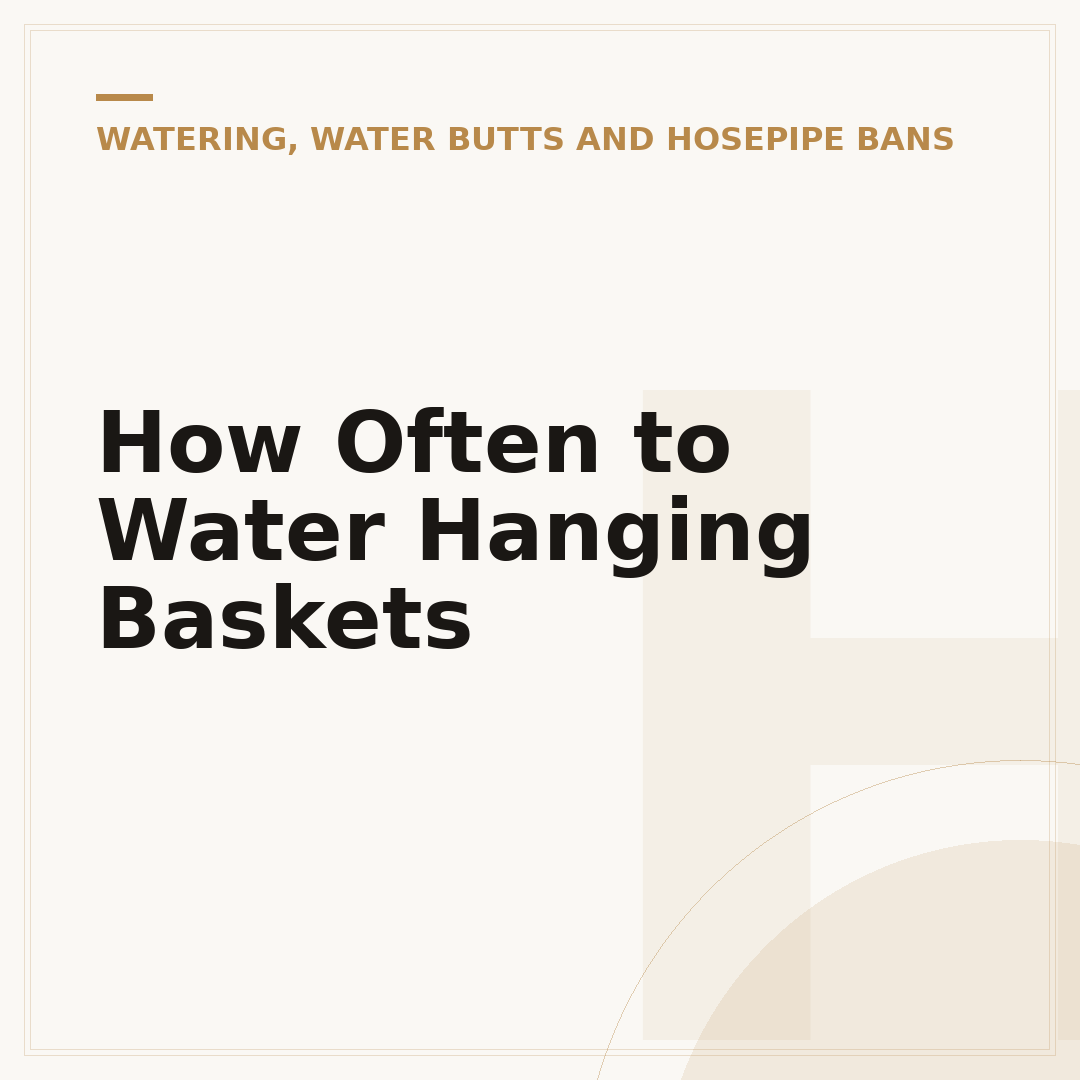 How Often to Water Hanging Baskets