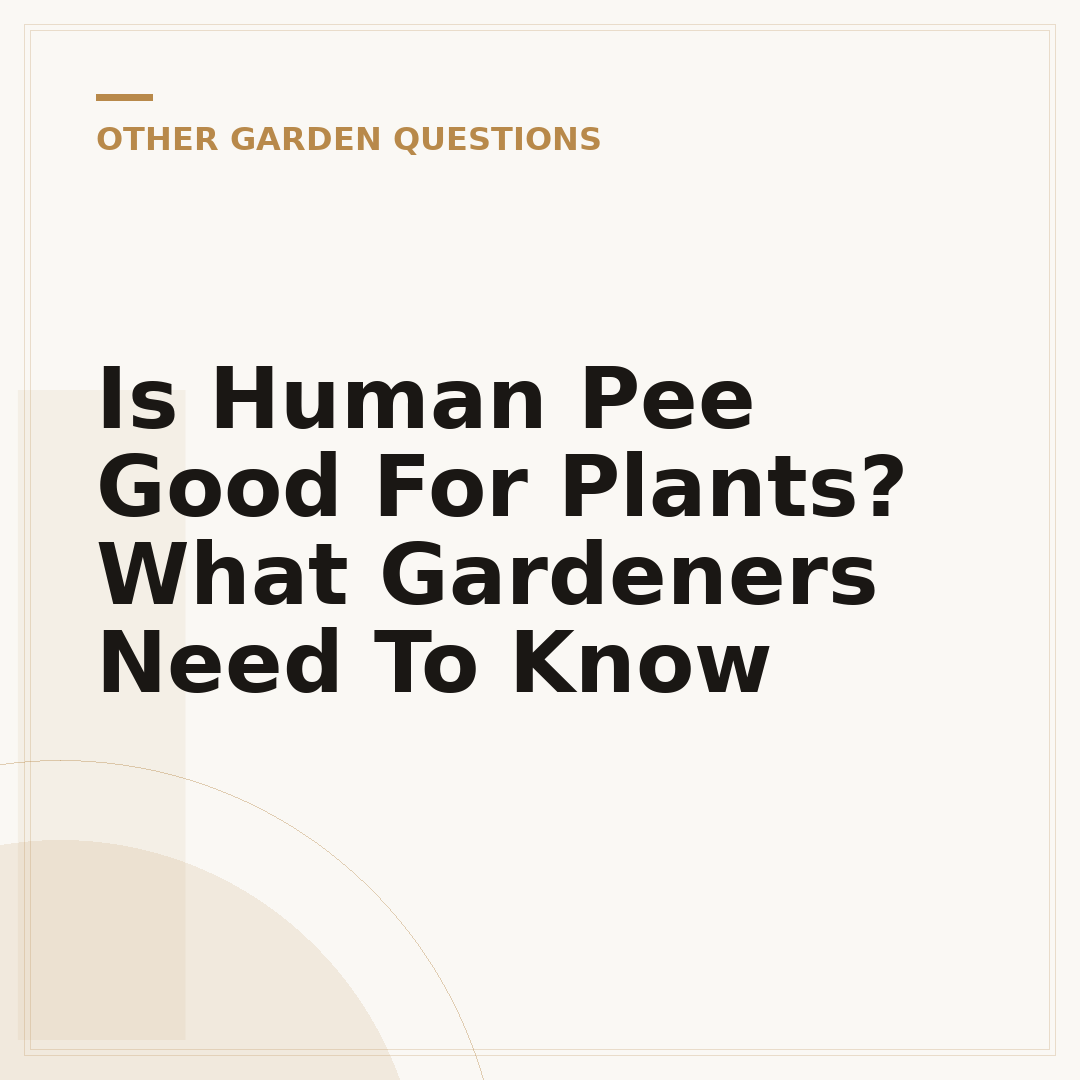 Is Human Pee Good For Plants? What Gardeners Need To Know