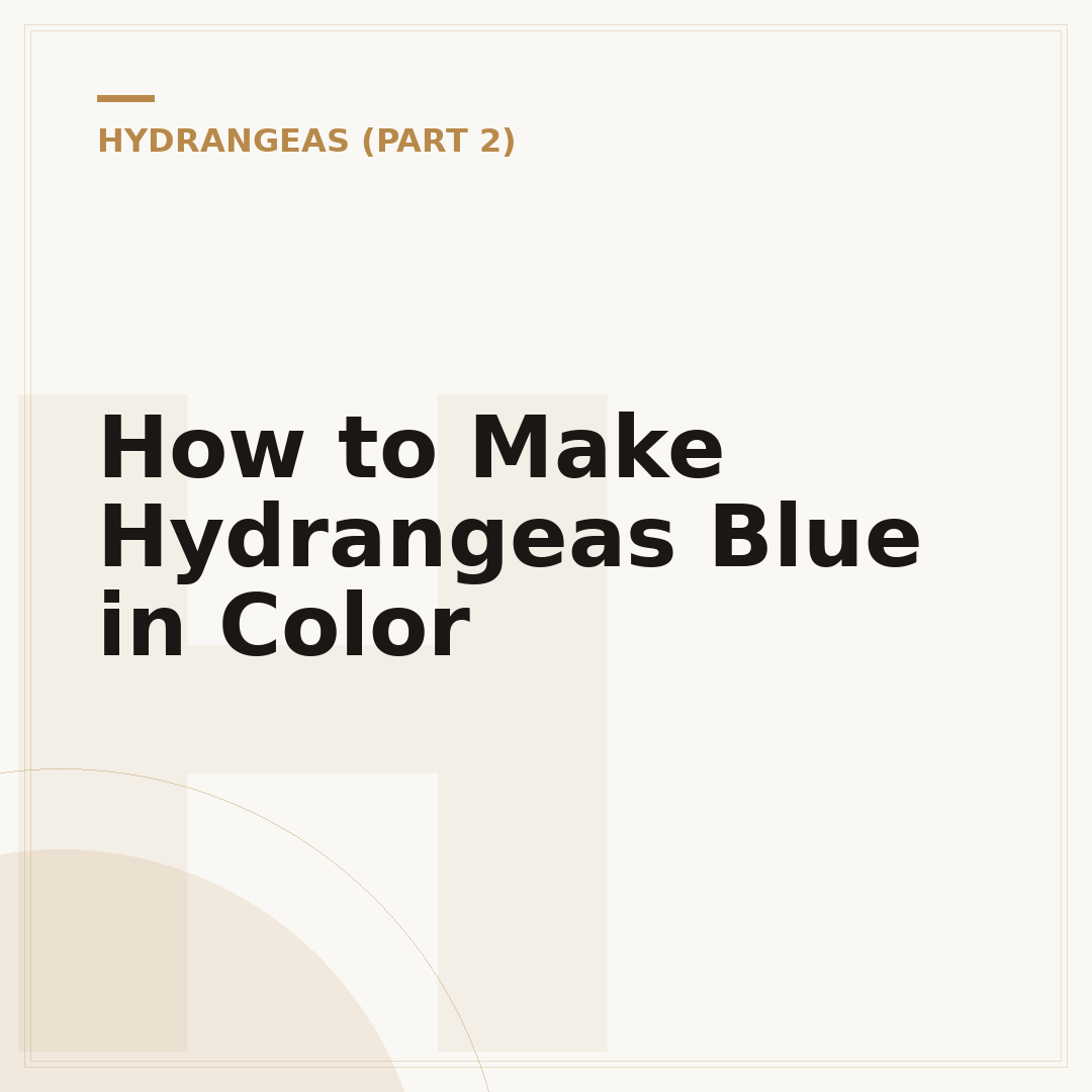 How to Make Hydrangeas Blue in Color