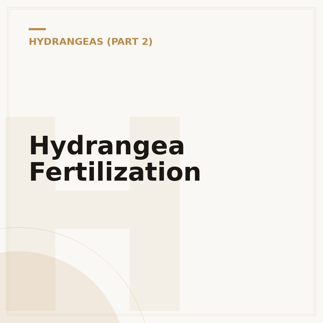 Hydrangea Fertilization