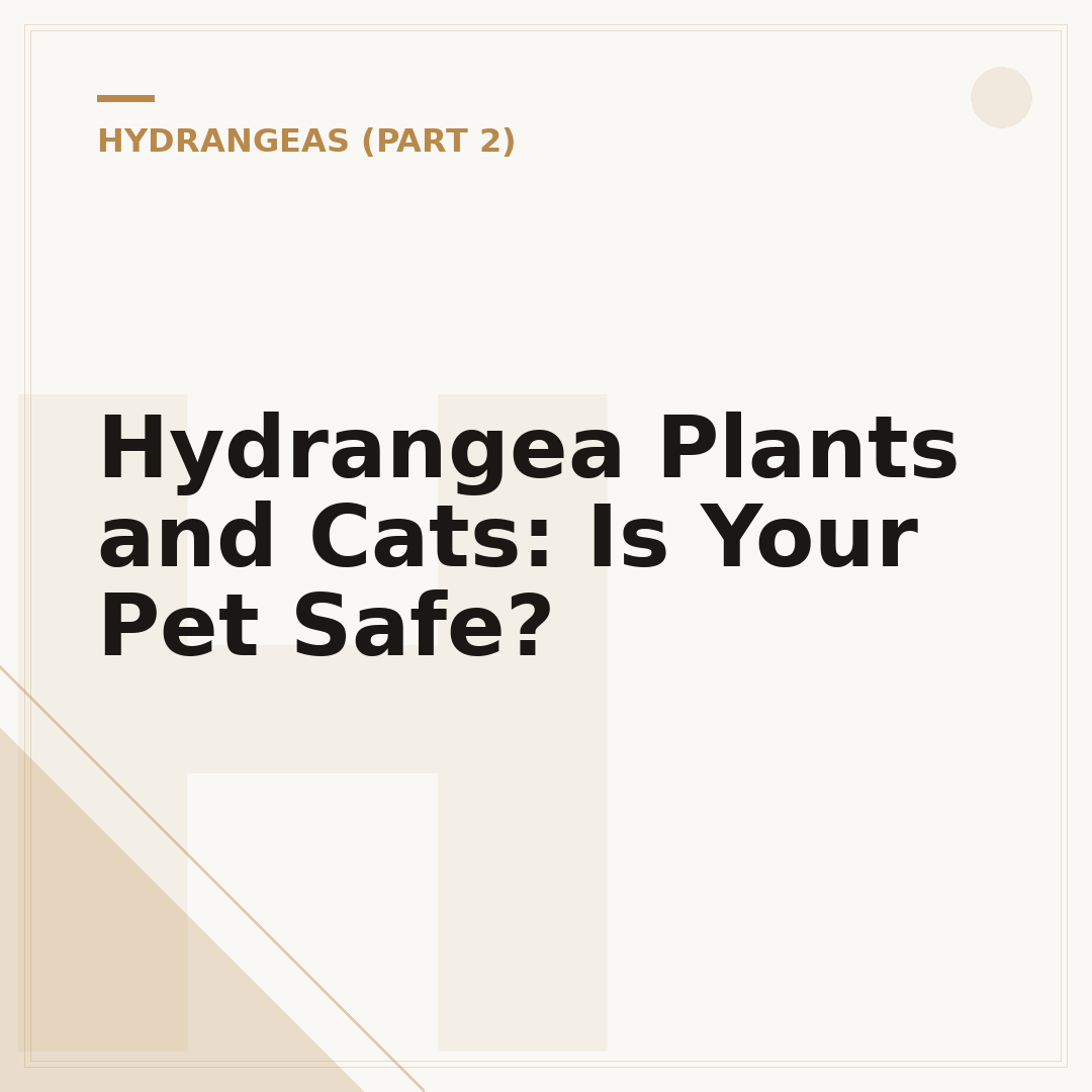 Hydrangea Plants and Cats: Is Your Pet Safe?