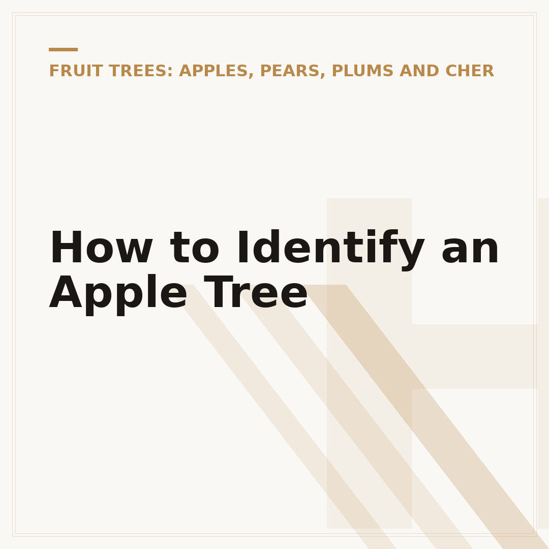 How to Identify an Apple Tree