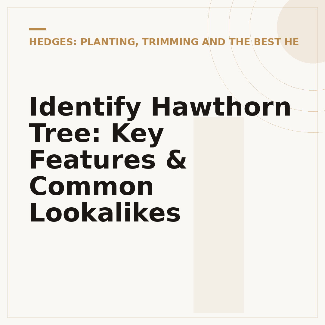 Identify Hawthorn Tree: Key Features & Common Lookalikes
