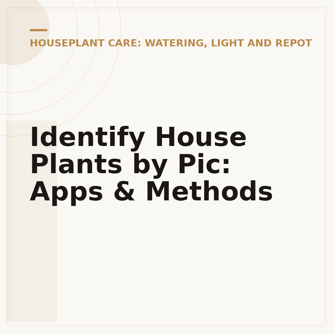Identify House Plants by Pic: Apps & Methods