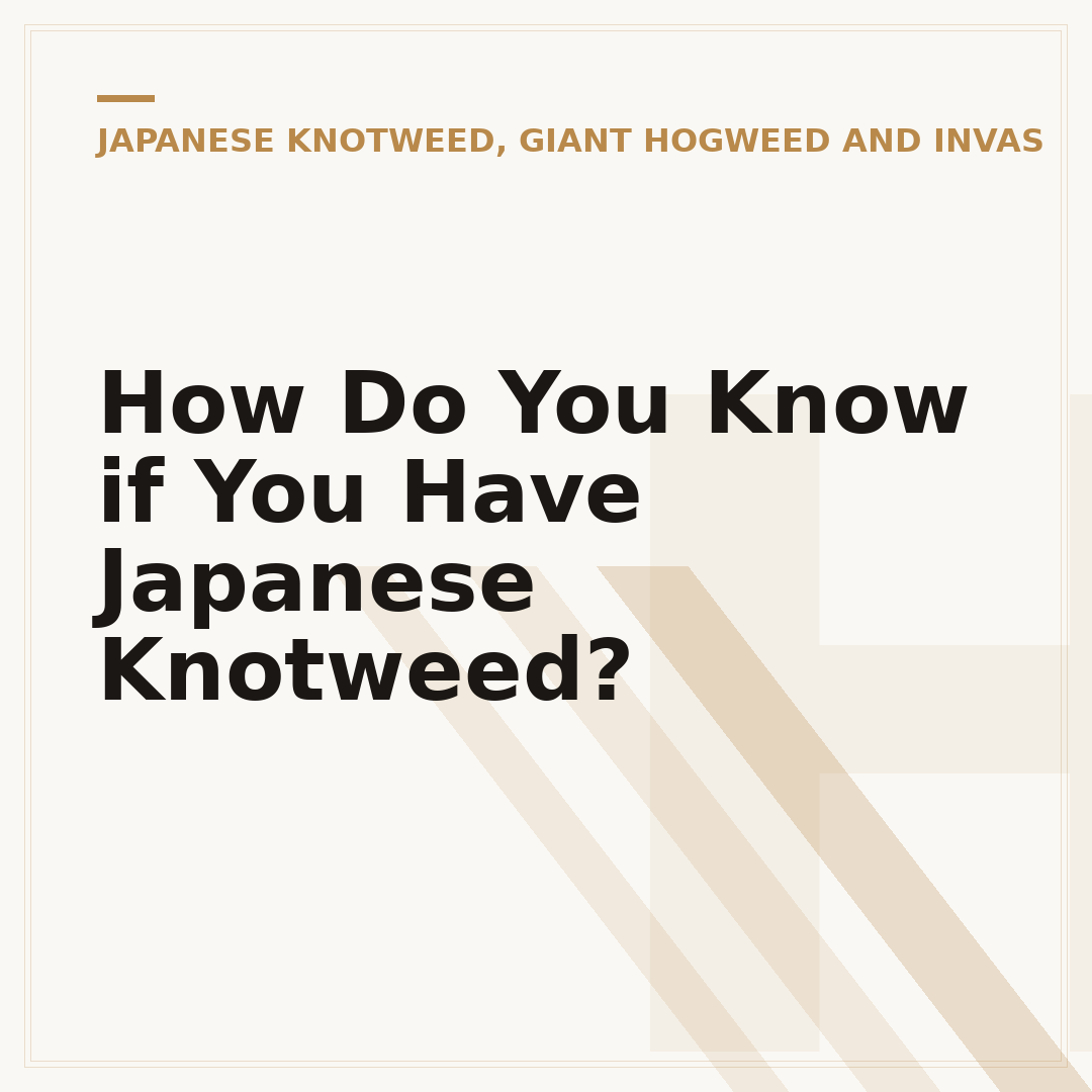 How Do You Know if You Have Japanese Knotweed?