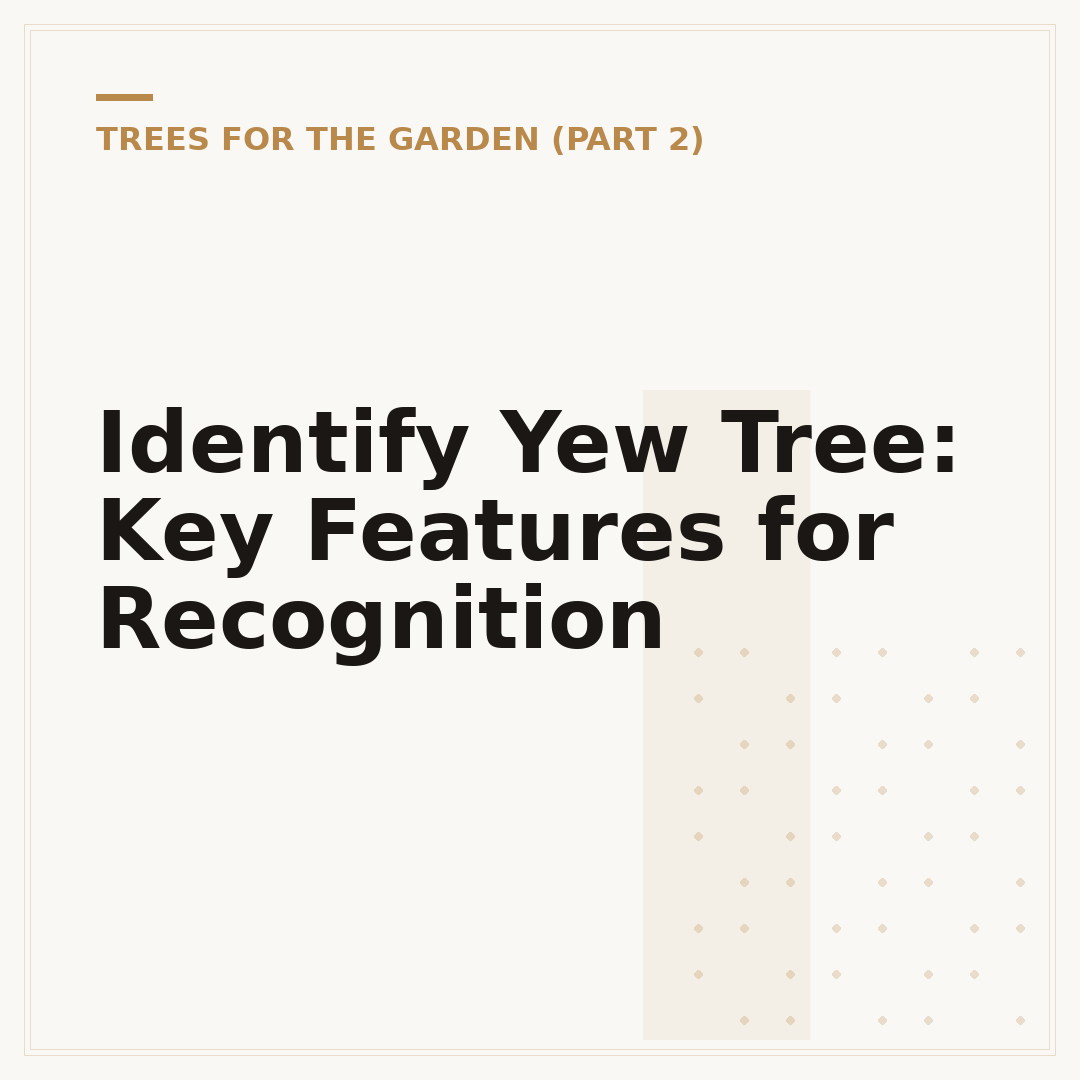 Identify Yew Tree: Key Features for Recognition