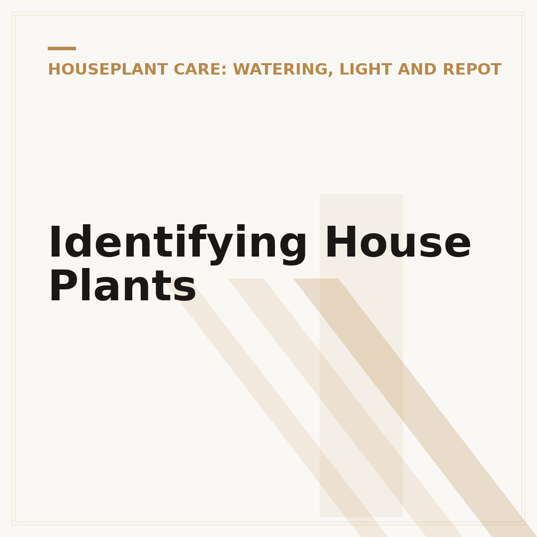 Identifying House Plants