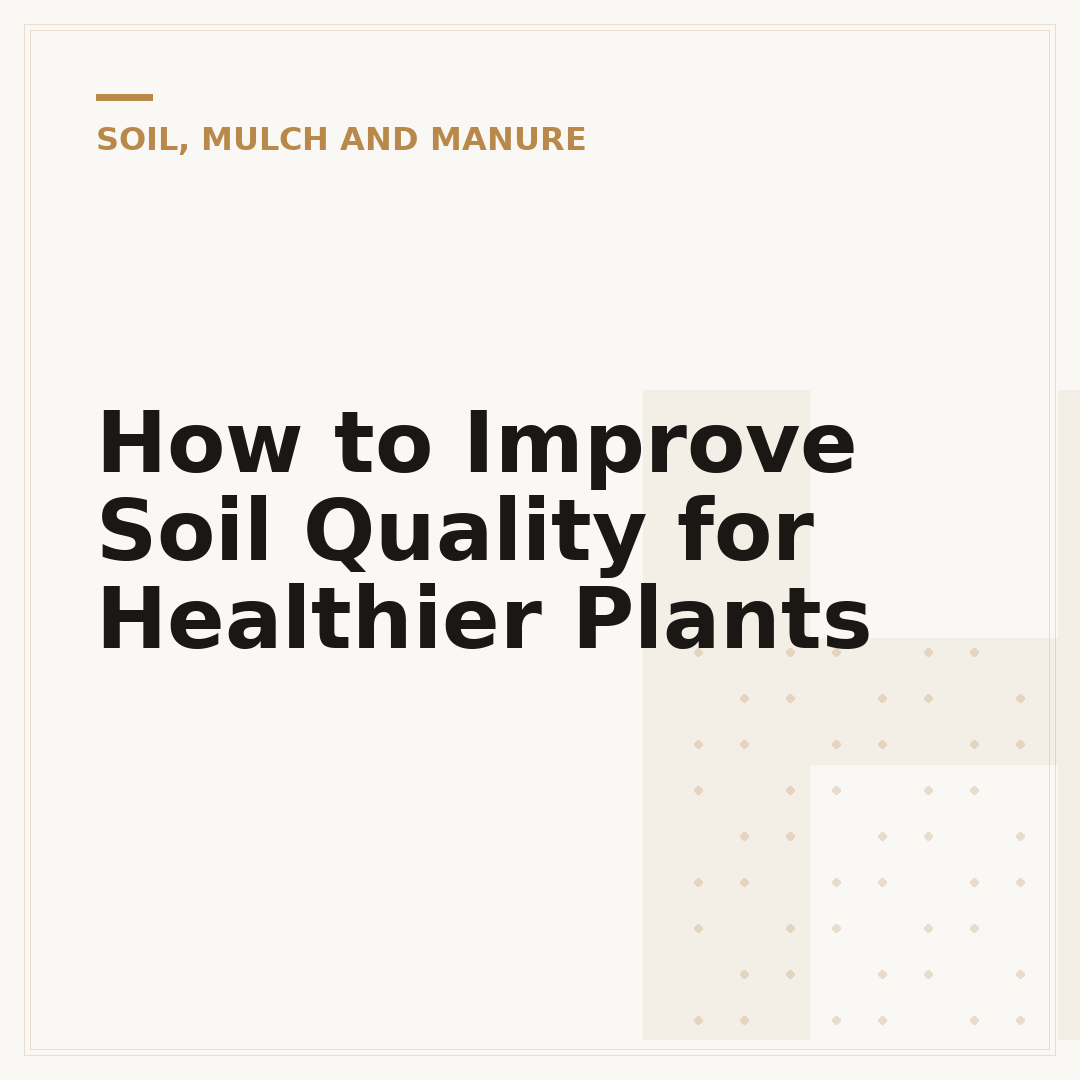 How to Improve Soil Quality for Healthier Plants