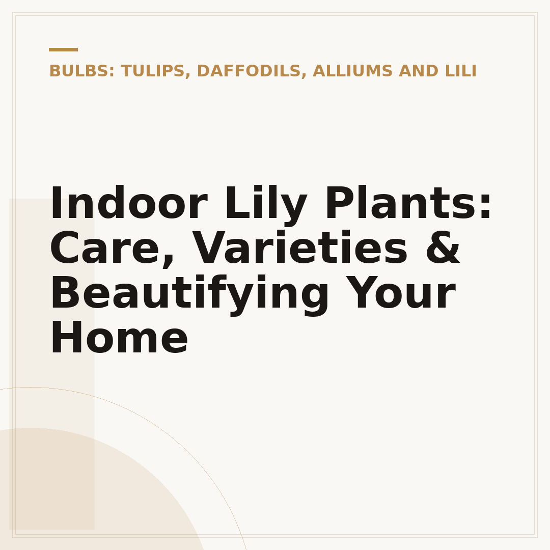 Indoor Lily Plants: Care, Varieties & Beautifying Your Home