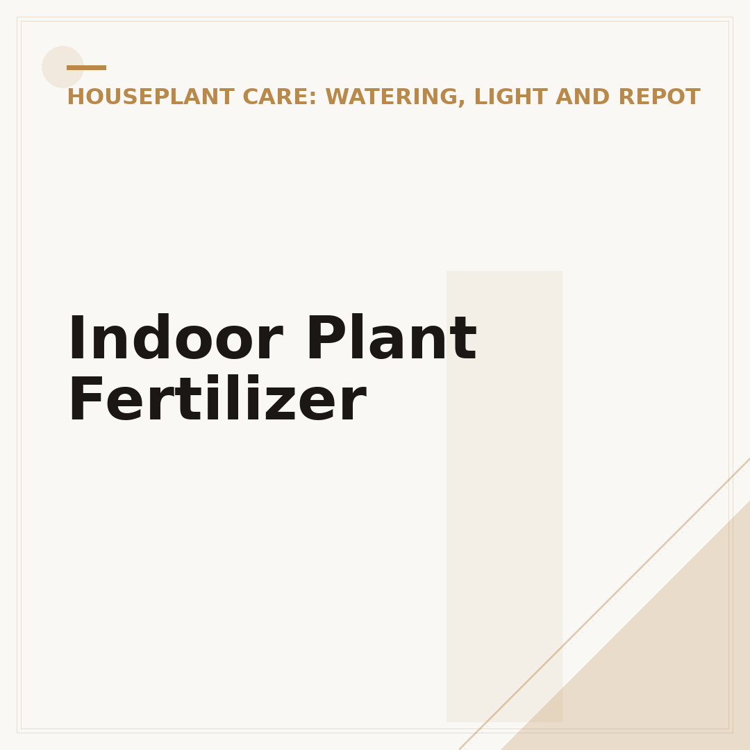 Indoor Plant Fertilizer
