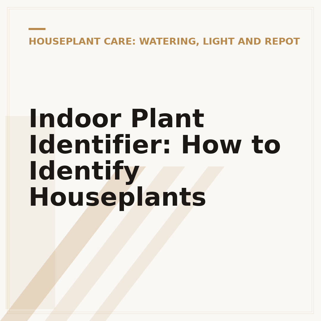 Indoor Plant Identifier: How to Identify Houseplants
