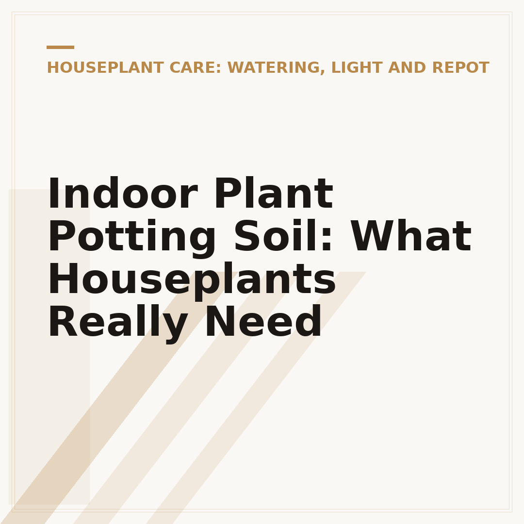 Indoor Plant Potting Soil: What Houseplants Really Need