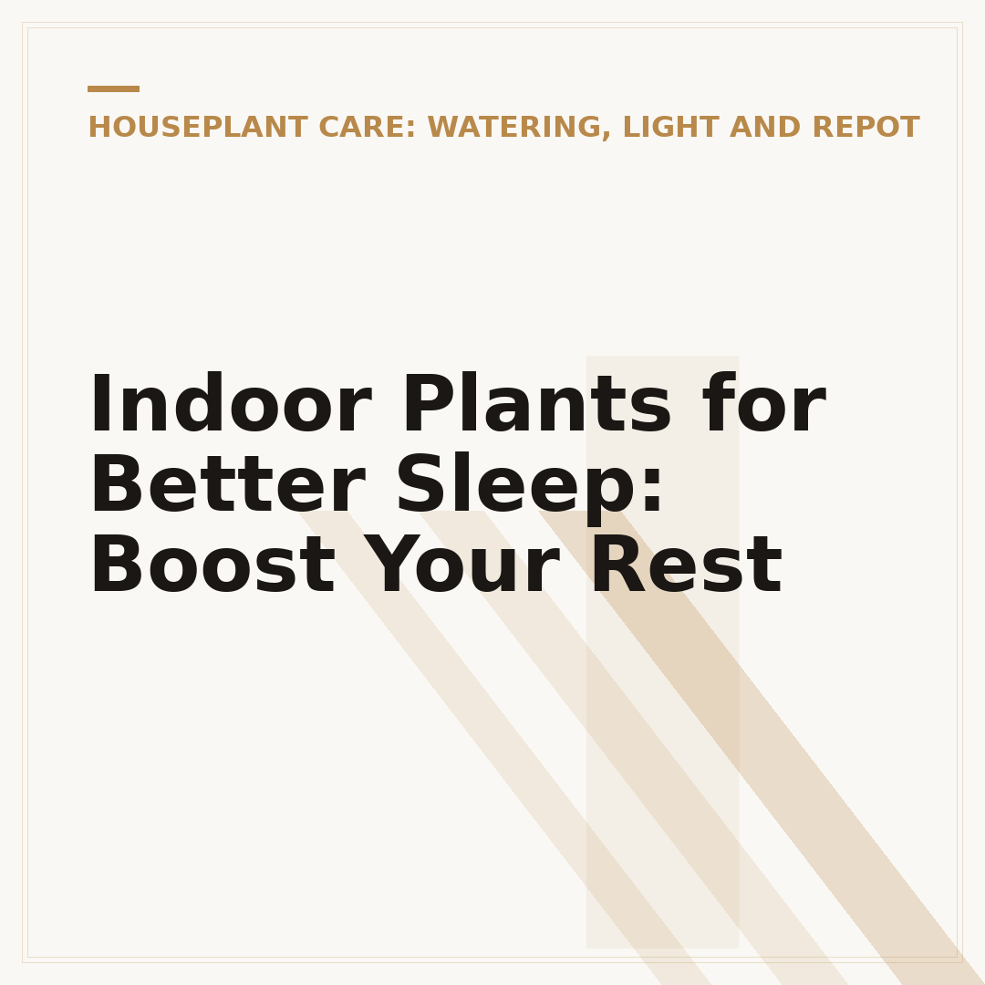 Indoor Plants for Better Sleep: Boost Your Rest