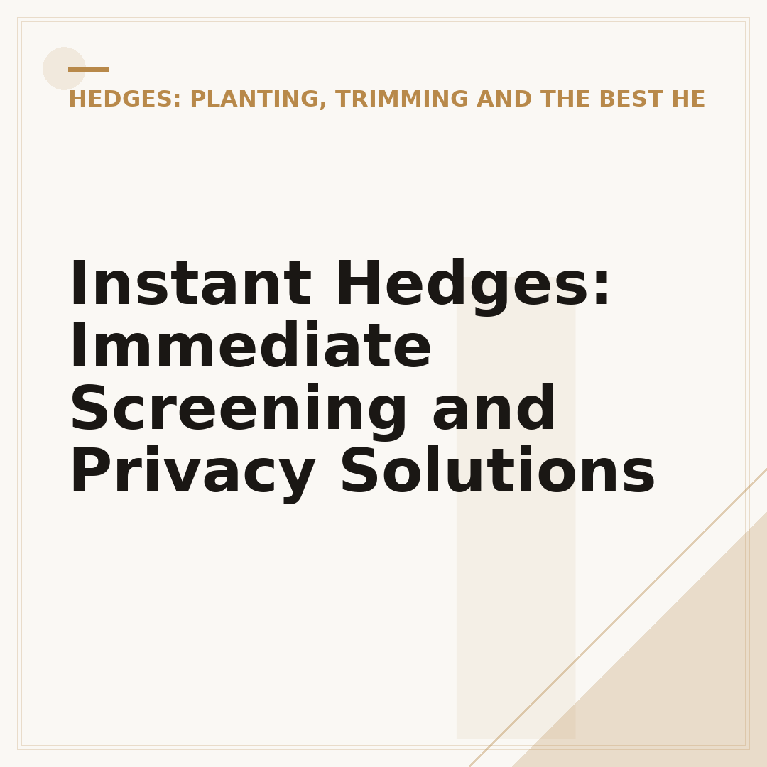 Instant Hedges: Immediate Screening and Privacy Solutions