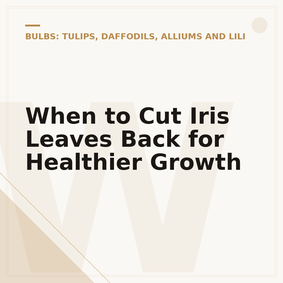 When to Cut Iris Leaves Back for Healthier Growth