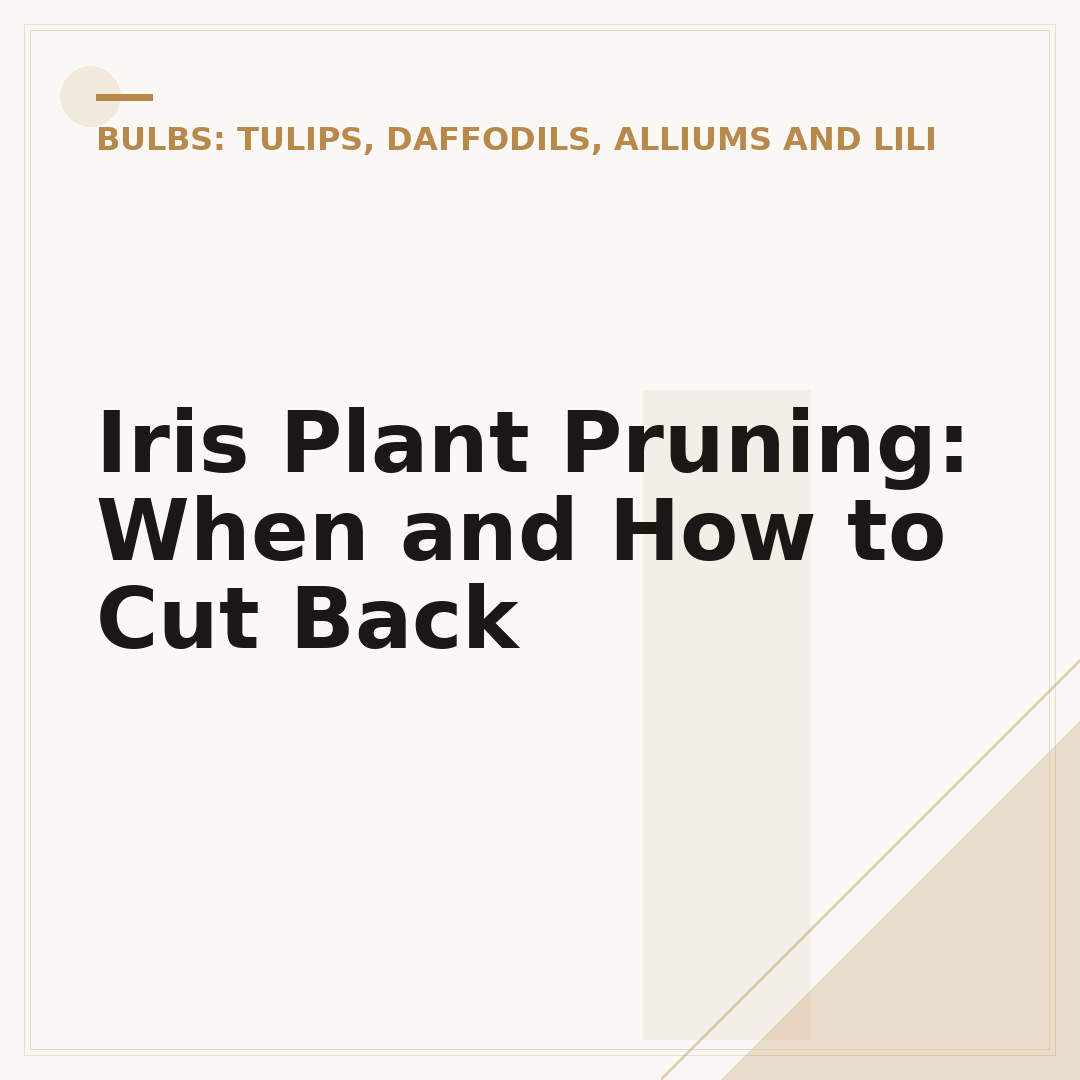 Iris Plant Pruning: When and How to Cut Back