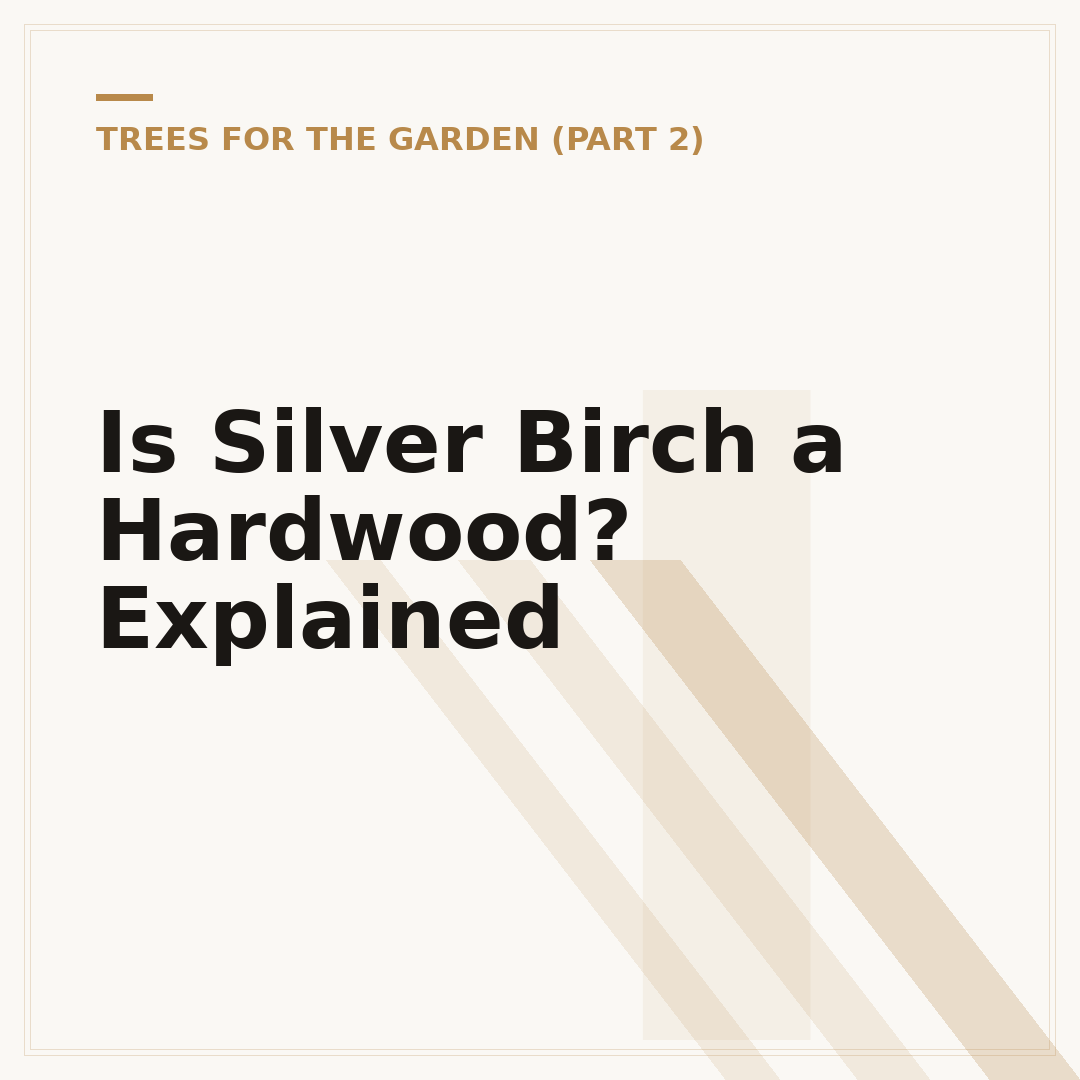 Is Silver Birch a Hardwood? Explained