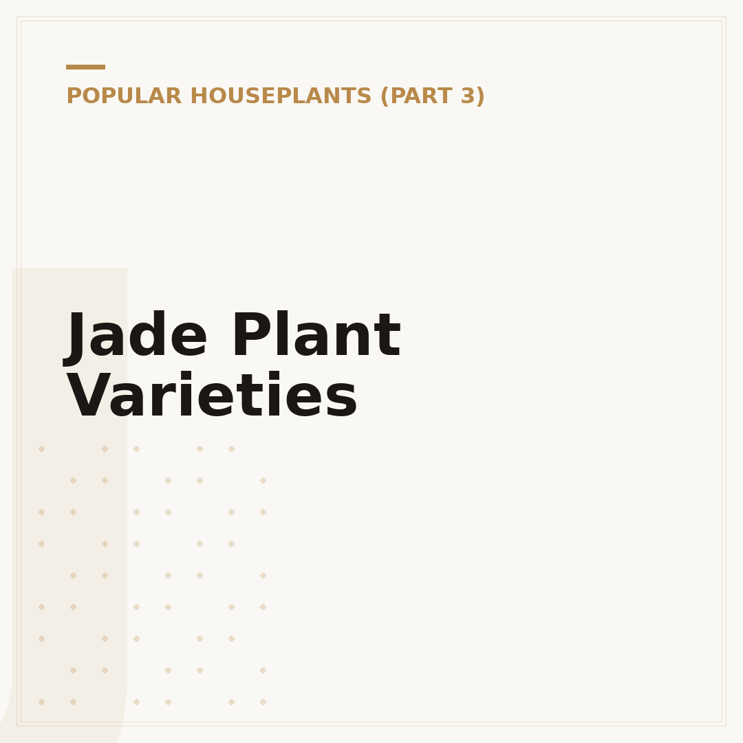 Jade Plant Varieties