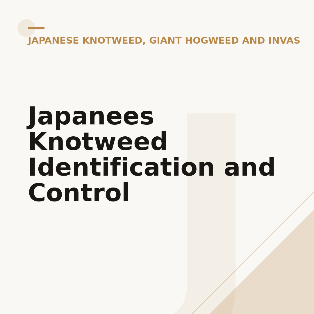 Japanees Knotweed Identification and Control