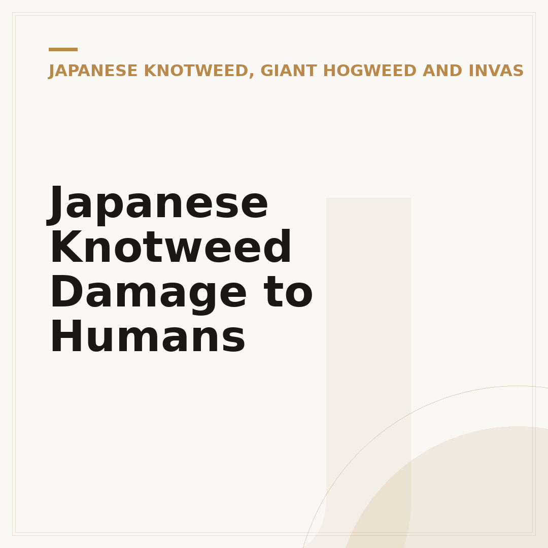Japanese Knotweed Damage to Humans