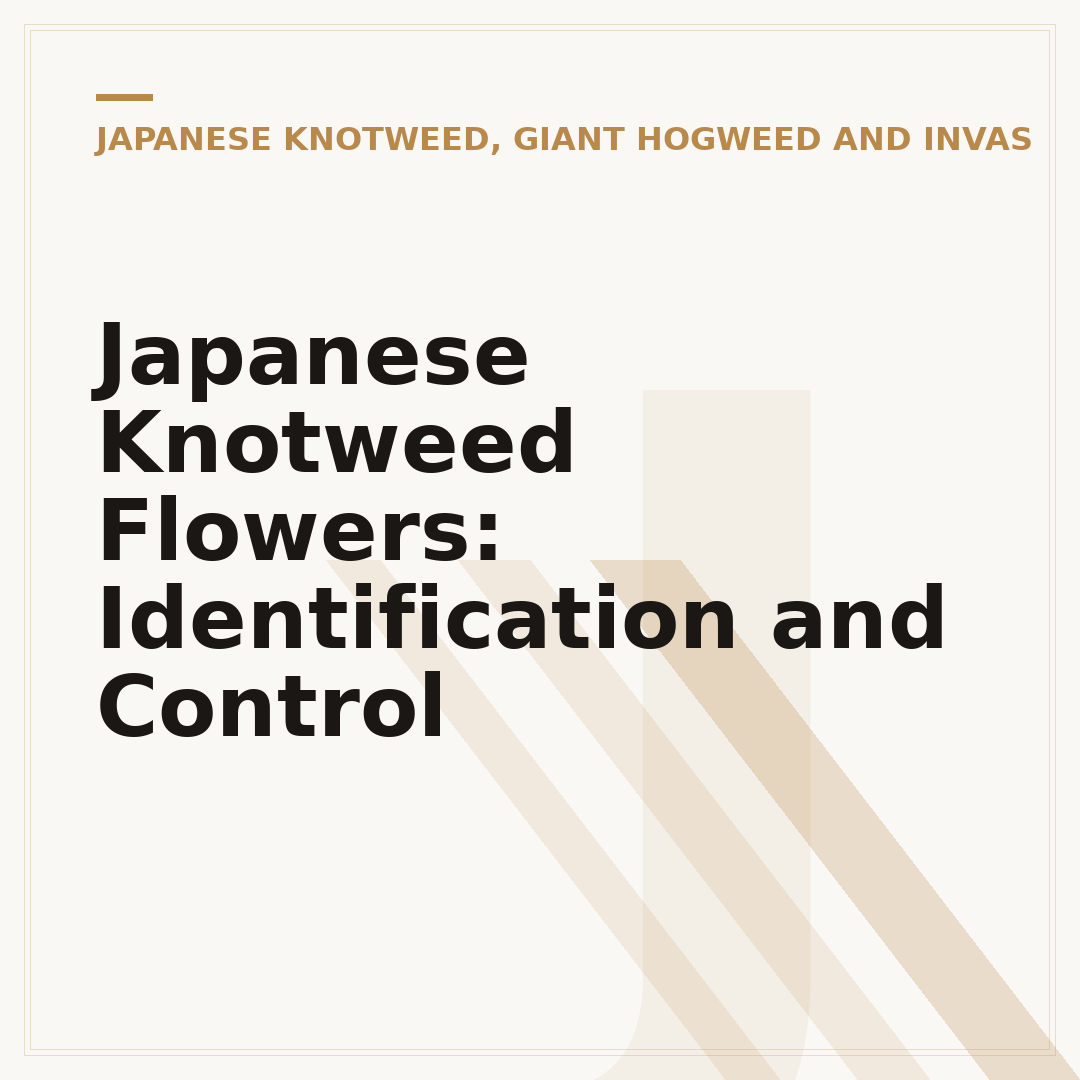 Japanese Knotweed Flowers: Identification and Control