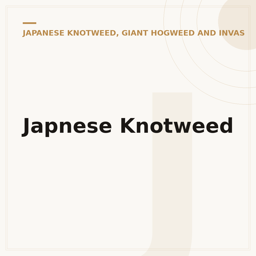 Japnese Knotweed