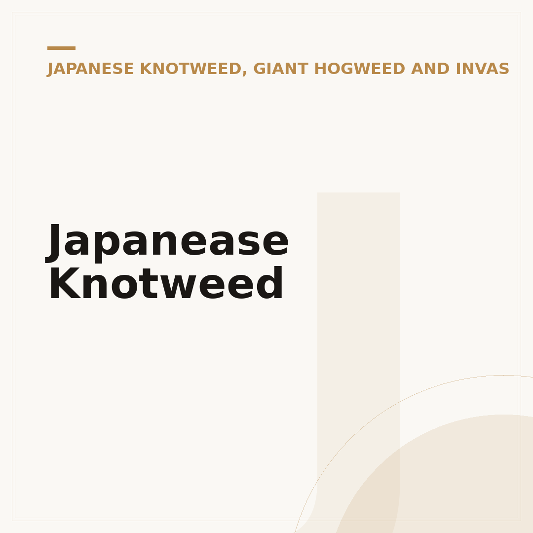 Japanease Knotweed