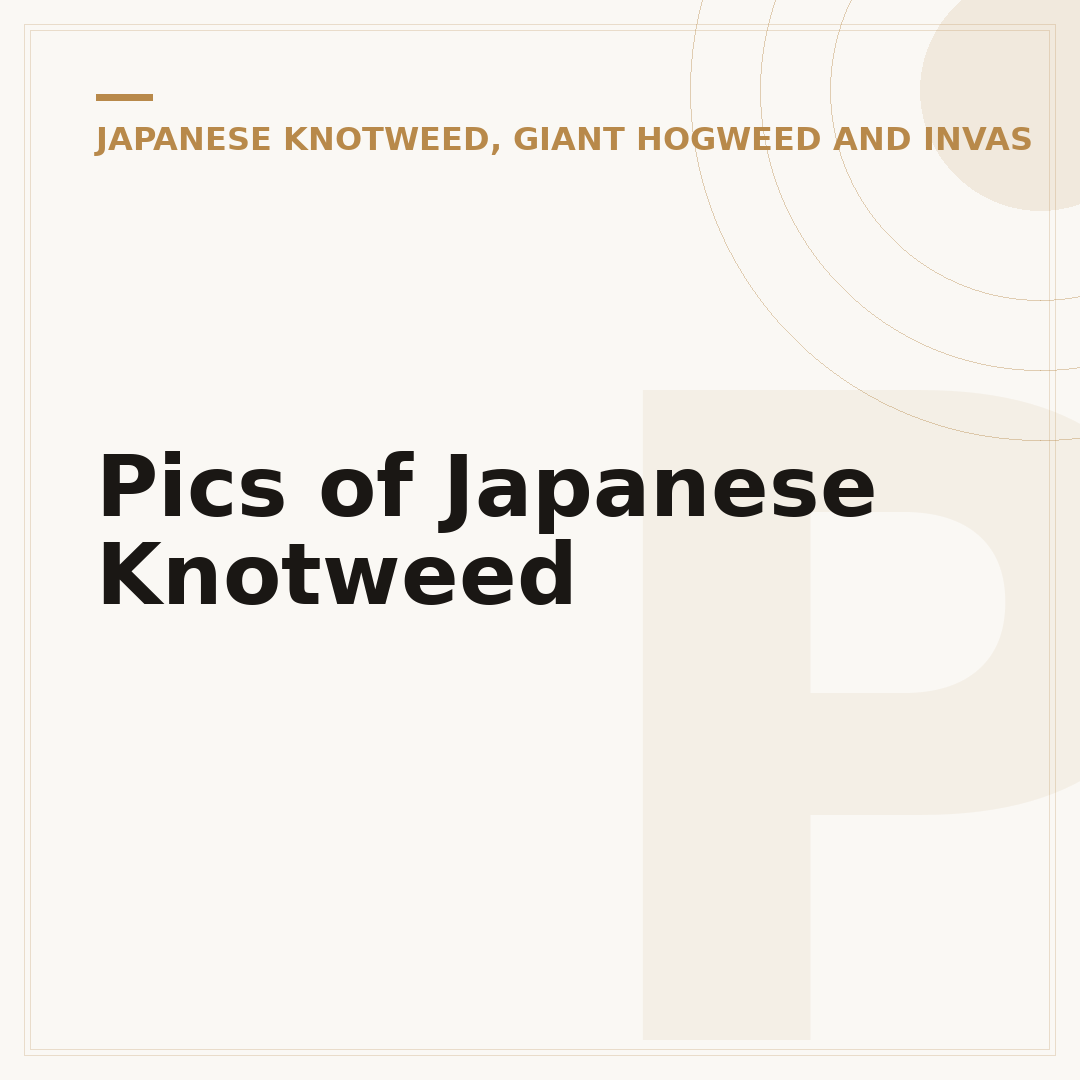 Pics of Japanese Knotweed