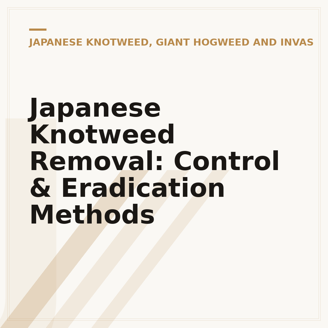 Japanese Knotweed Removal: Control & Eradication Methods