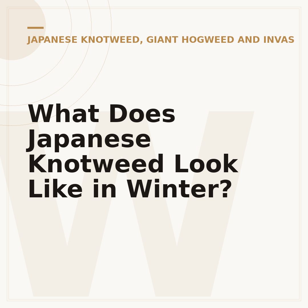 What Does Japanese Knotweed Look Like in Winter?