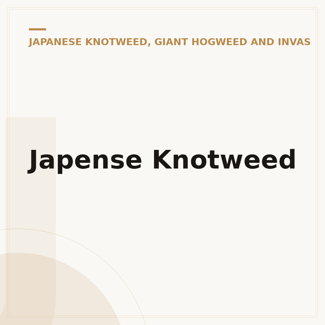 Japense Knotweed