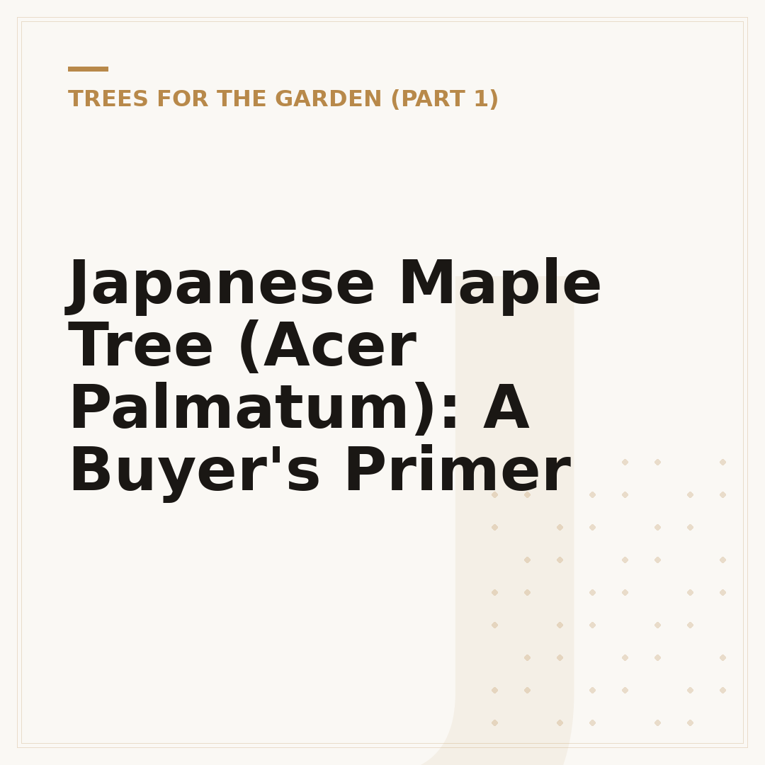 Japanese Maple Tree (Acer Palmatum): A Buyer's Primer