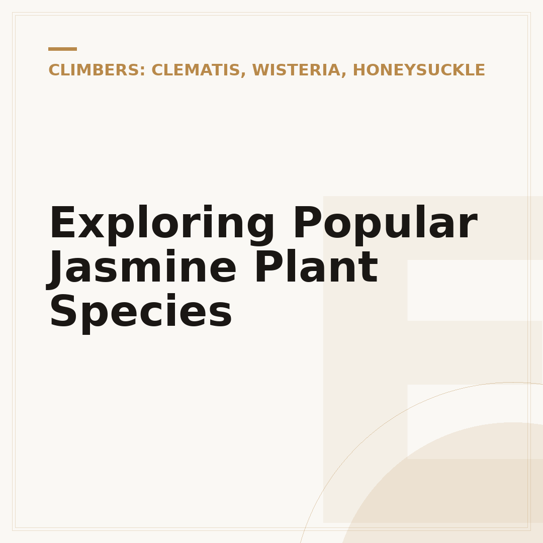 Exploring Popular Jasmine Plant Species