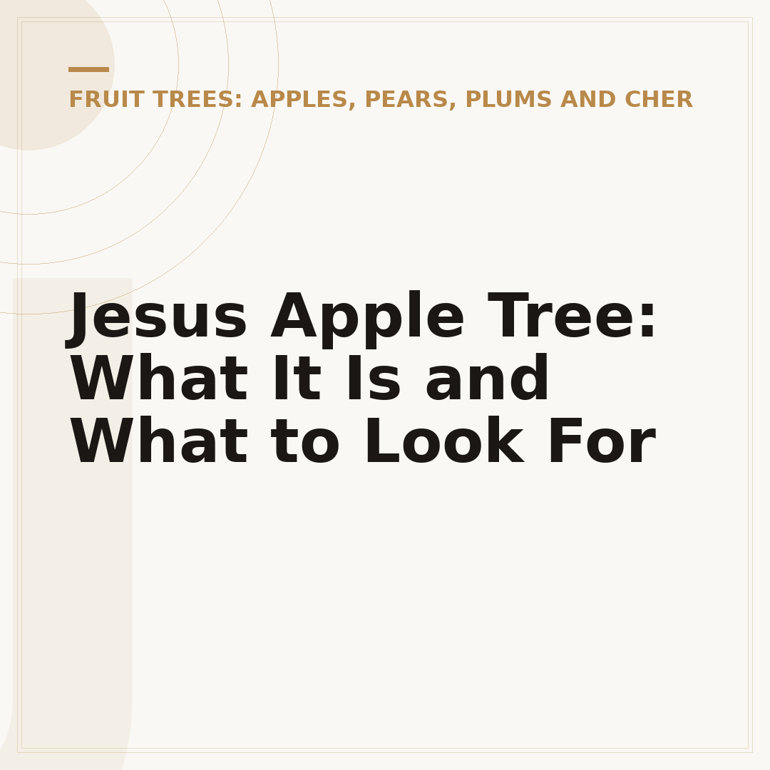 Jesus Apple Tree: What It Is and What to Look For