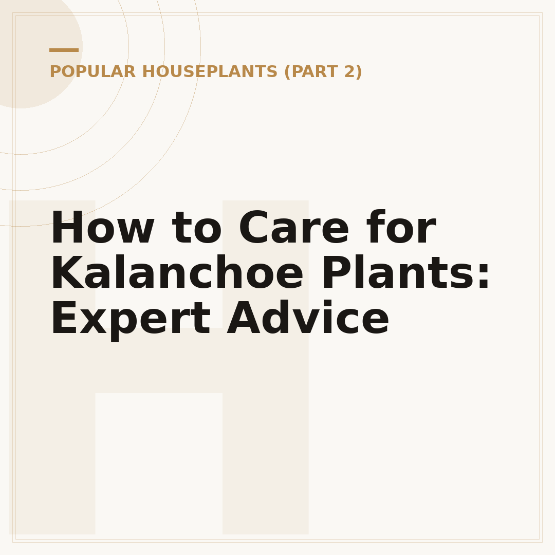 How to Care for Kalanchoe Plants: Expert Advice
