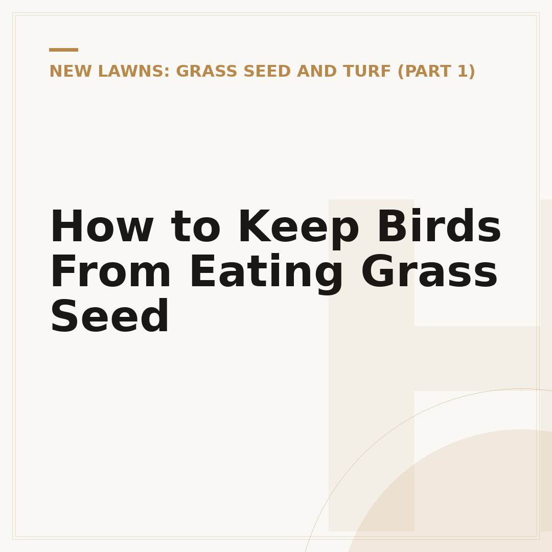 How to Keep Birds From Eating Grass Seed