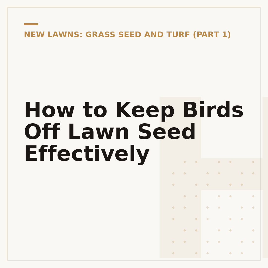 How to Keep Birds Off Lawn Seed Effectively